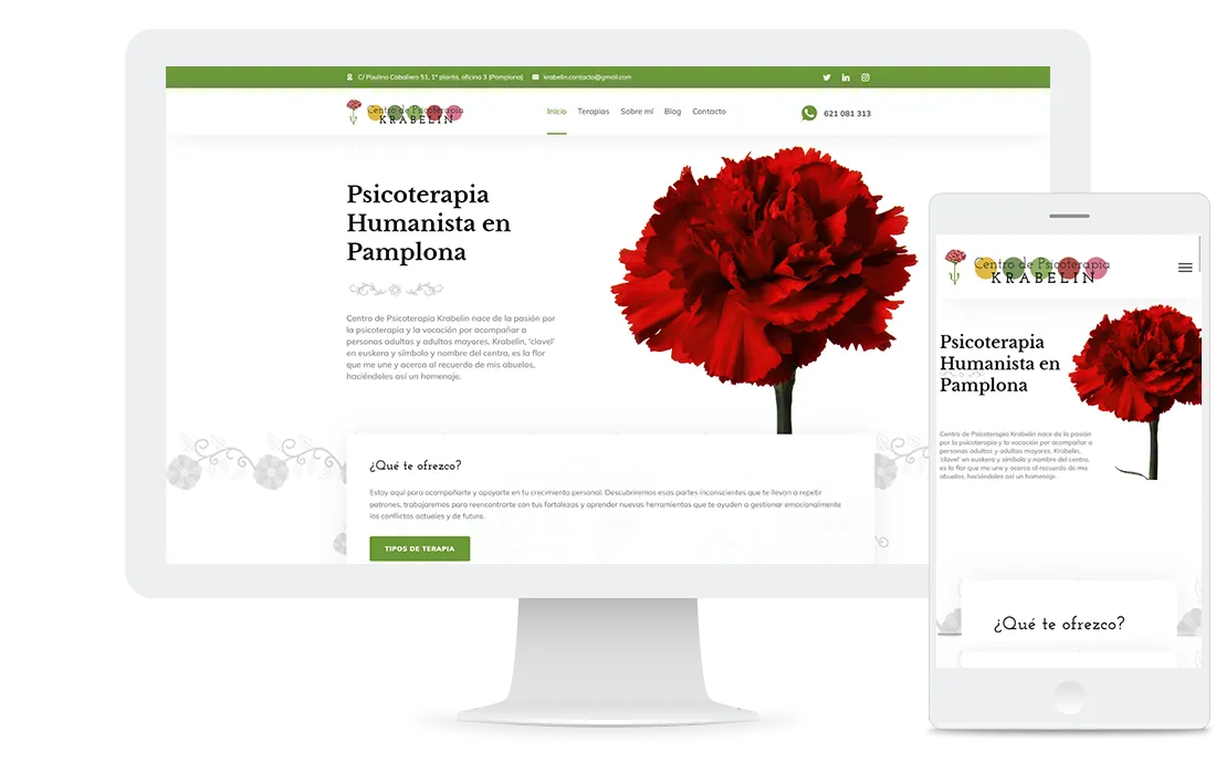 Captura de la web de Centro de Psicoterapia Krabelin