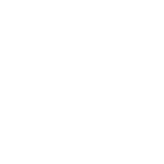 Wordpress logo (white)